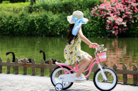 Велосипед Royal Baby Little Swan 18" New