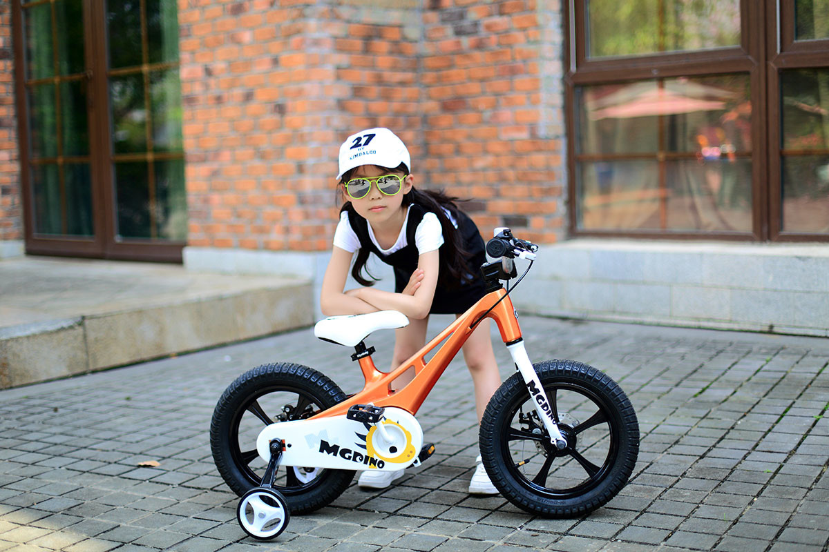 Royal baby shuttle. Велосипед Royal Baby MG Dino 14. Royal Baby MG Dino 14. Детский велосипед Роял Беби MG Dino. Royal Baby Dino велосипед.