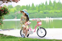 Велосипед Royal Baby Little Swan 16" New