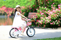 Велосипед Royal Baby Little Swan 18" New